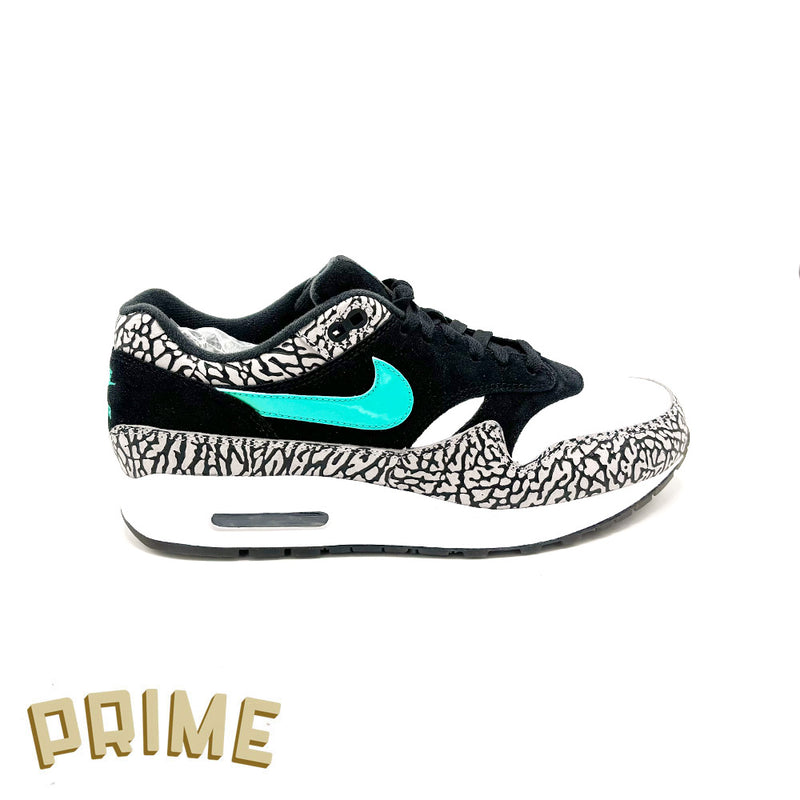 Nike Air Max 1 Atmos x Jordan